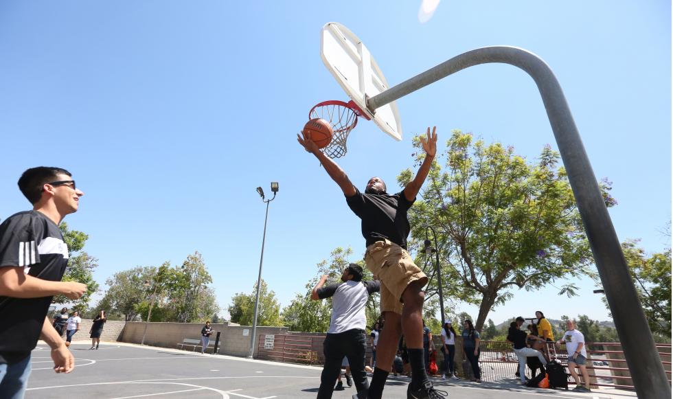 Spring Madness on Basketball Court