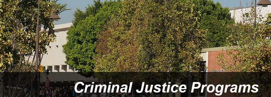 Link to Criminal Justice Programs 
