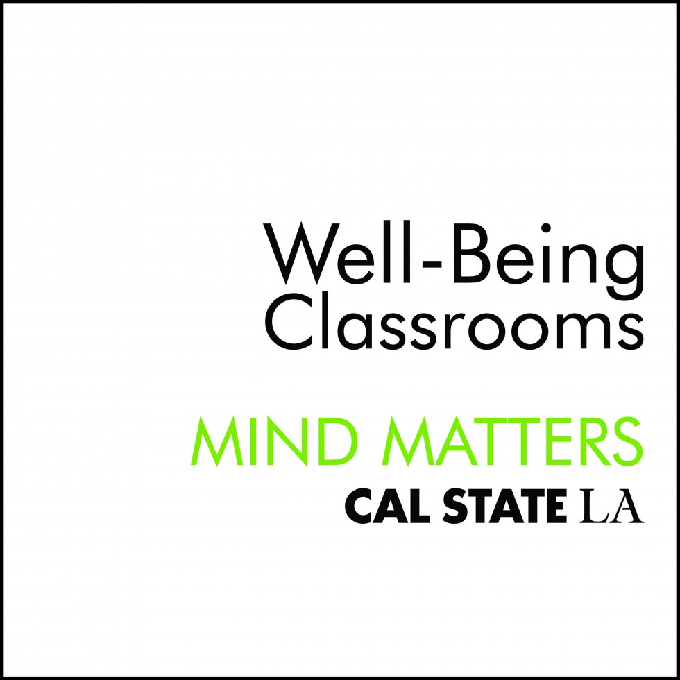 Well-Being Classrooms 
