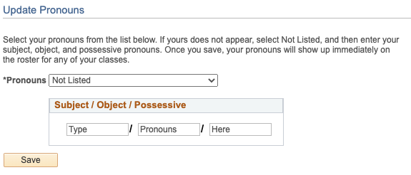 Screenshot of Update Pronouns screen with option to manually type pronouns displayed