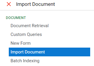 Web client import document menu item