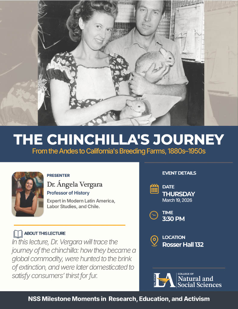 The Chinchilla's Journey NSS Milestones Event Flyer