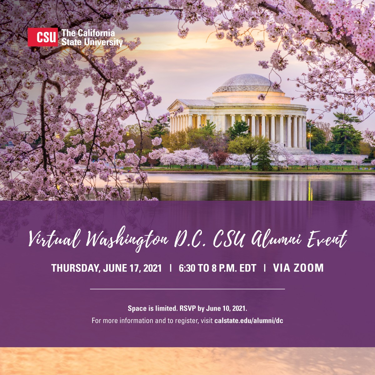 Washington D.C. rotunda with cherry blossoms.