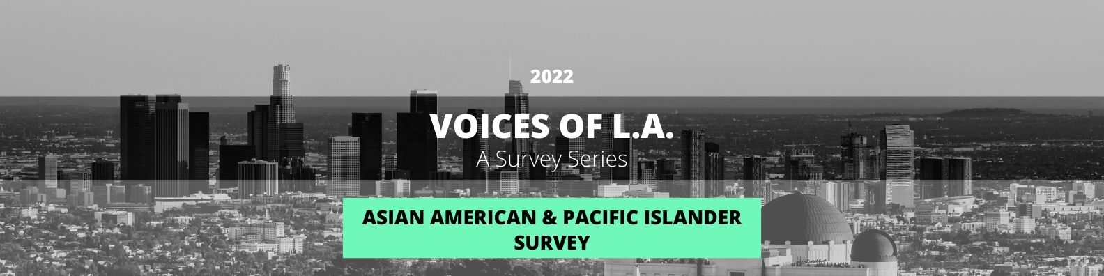 2022-Voices-of-LA-AAPI-Webpages