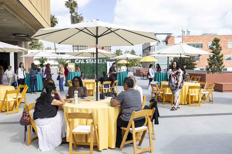 People seated and standing outside under blue skies