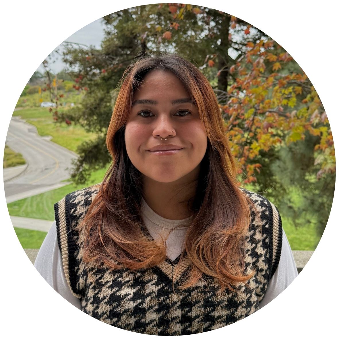 Student assistant: Yulemi