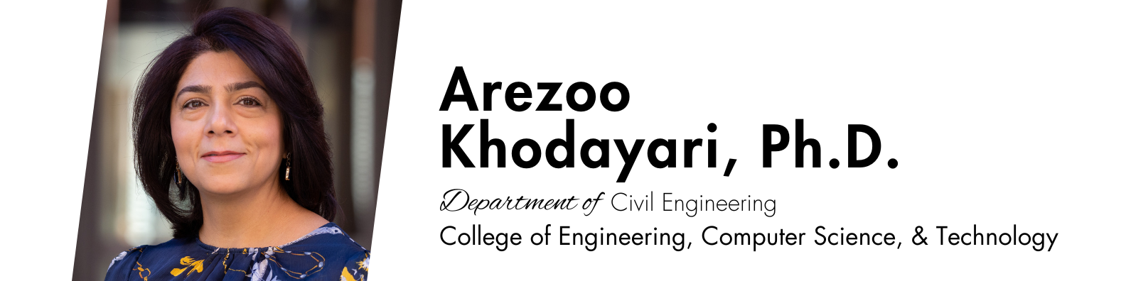 Arezoo Khodayari banner