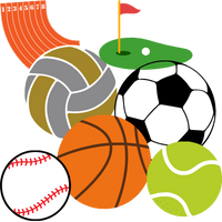 Animated sports