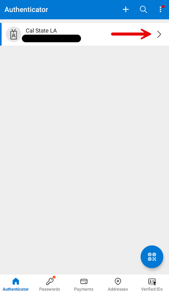 MS Authenticator Home Page
