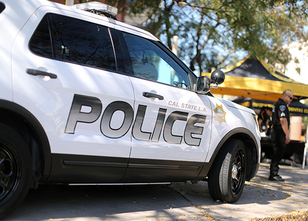 Public Safety