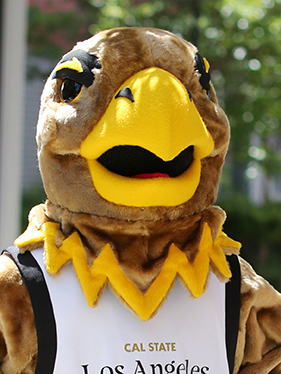 Eddie the Golden Eagle standing in a shady area outdoors.