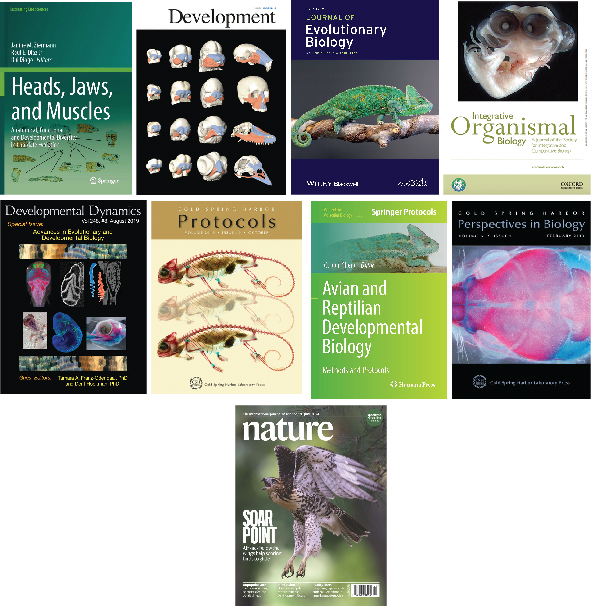 Covers