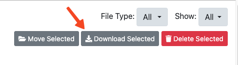 Download Files Button