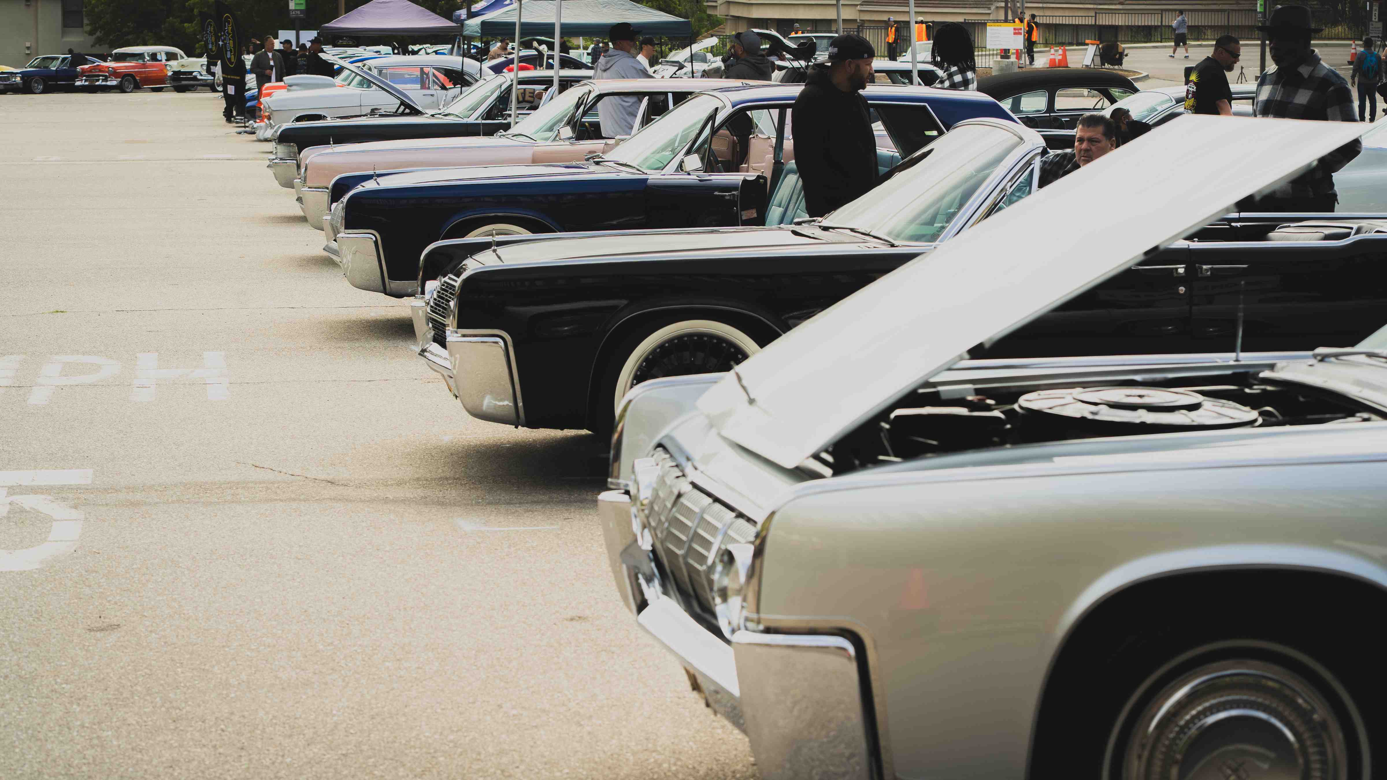 Car Show photo — Cars Lined Up