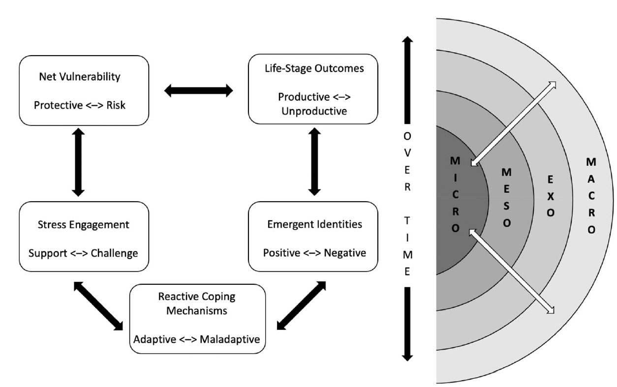 Conceptual model of phenomenological variant ecological systems theory.