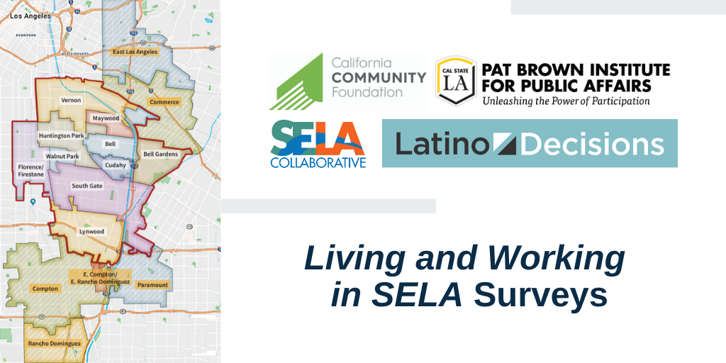 Living-and-Working-in-SELA-Surveys