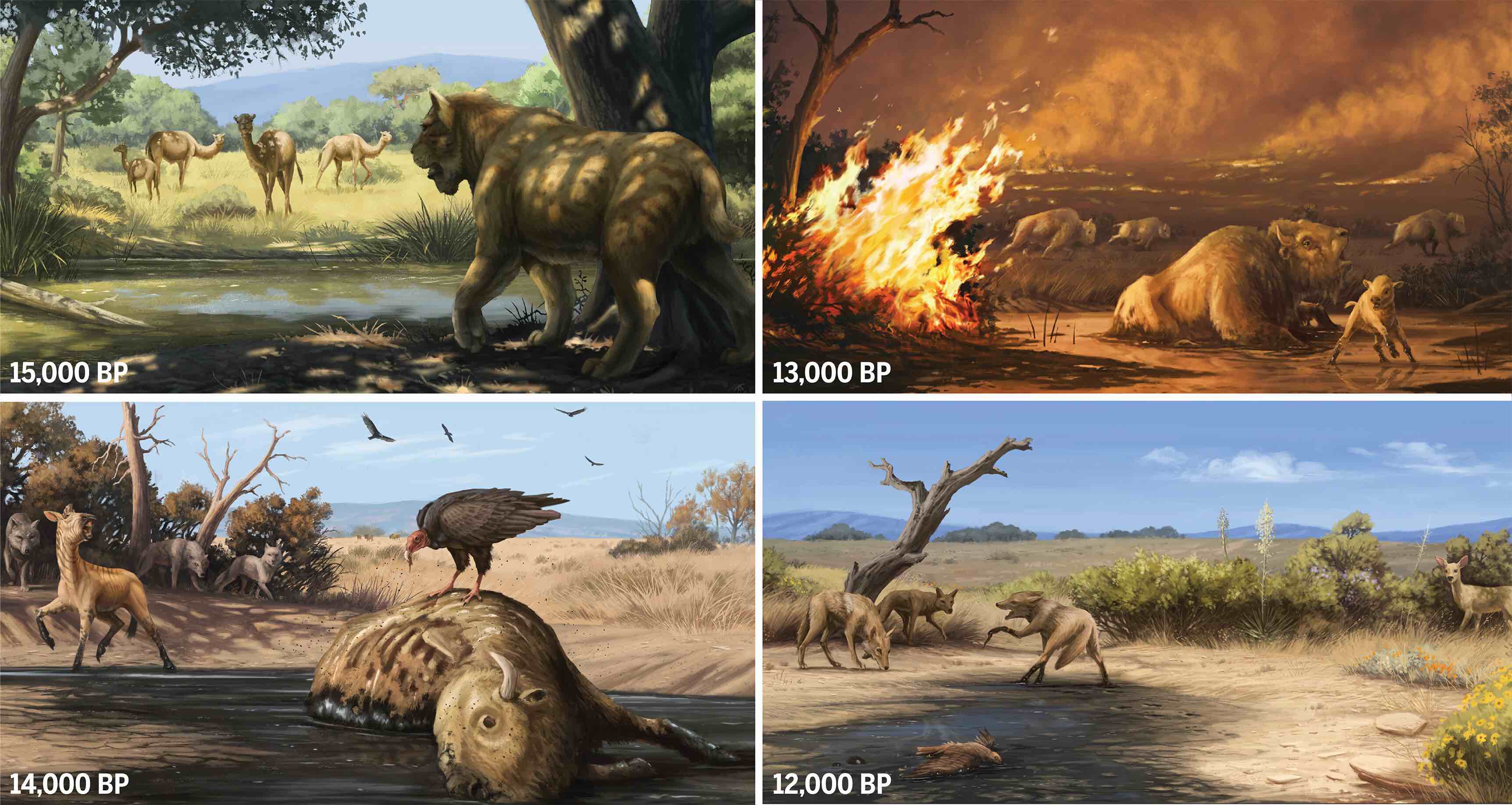 four panels of extinct mammals in nature