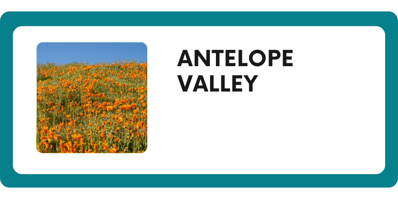 Antelope Valley Slide Dec