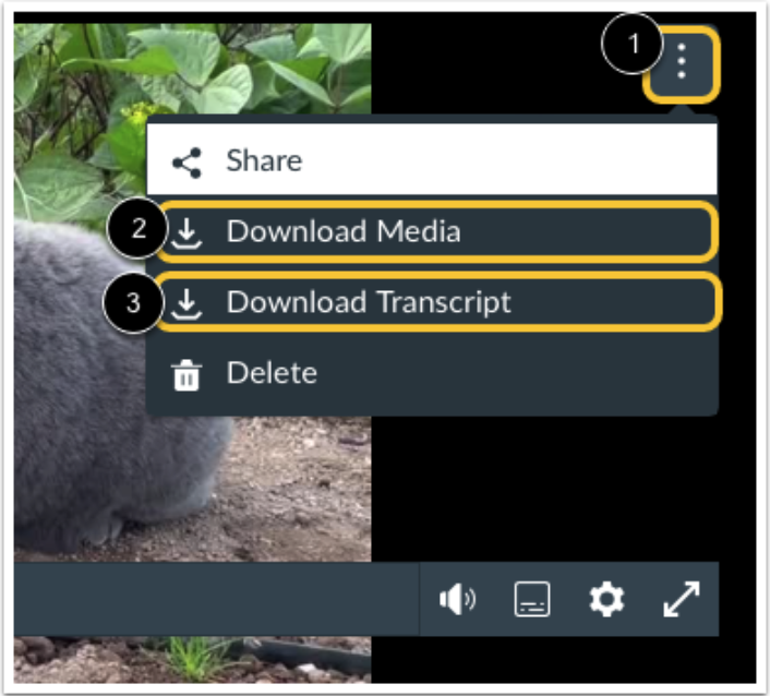 Download Media and Transcript File