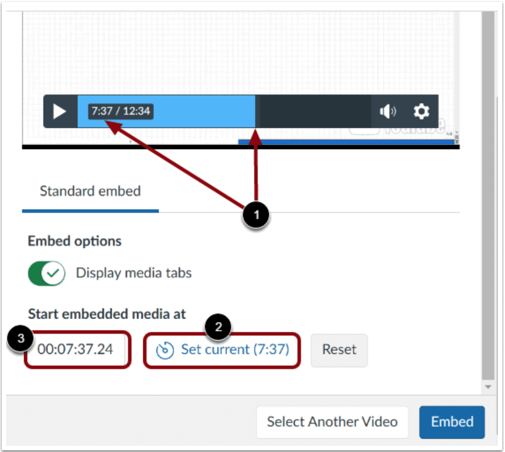 Embed at Timestamp