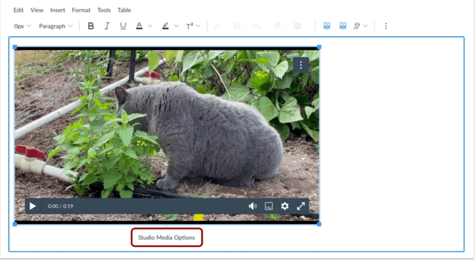 Open Studio Media Options