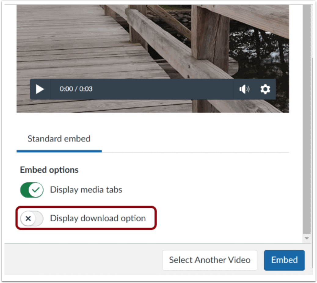 Enable or Disable Download Option