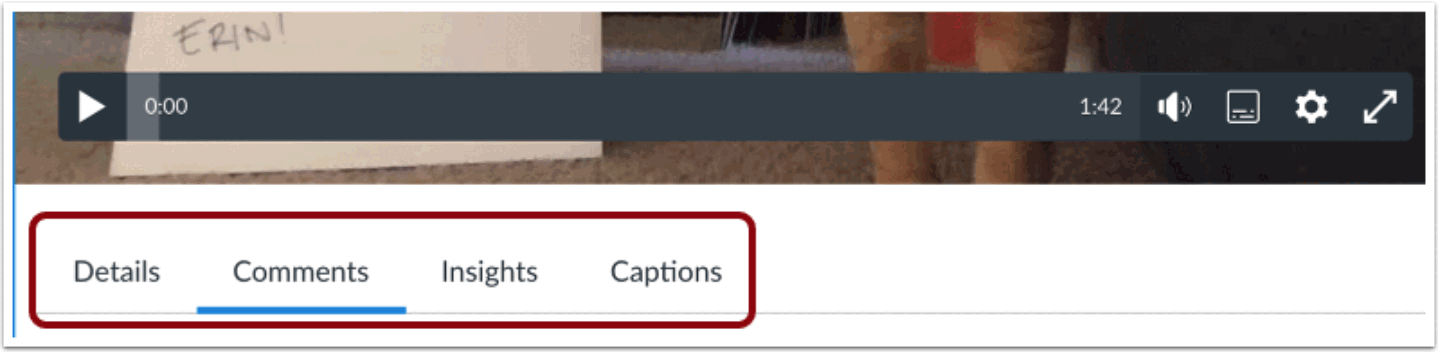 View Comment-Enabled Media Options