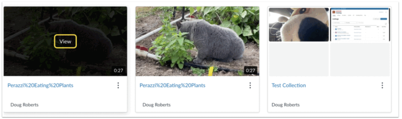 View Uploaded Media image