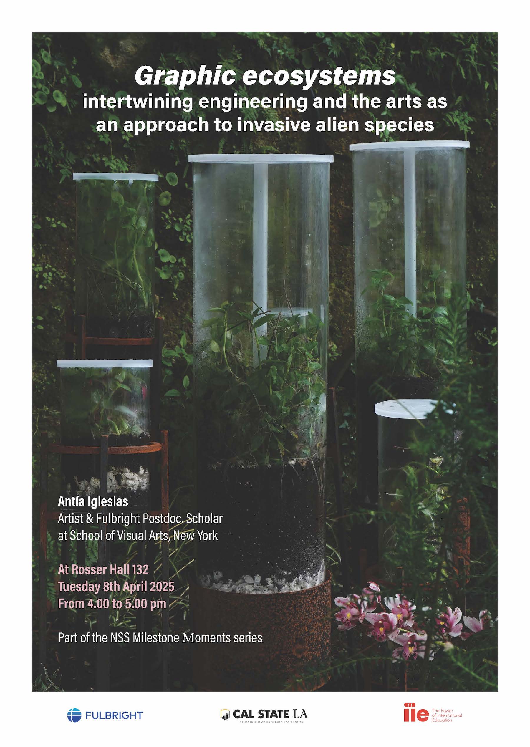 Event Flyer for the NSS Milestone Lecture Featuring Antia Iglesias