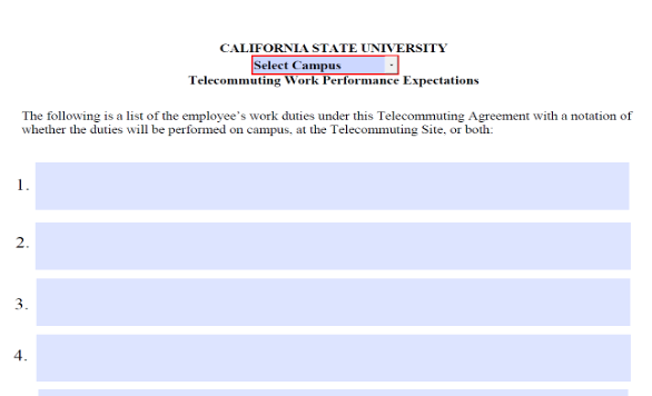 Telecommute Expectation Screenshot Example