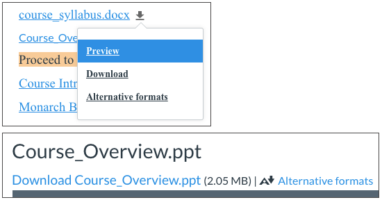 Ally drop down to access alternative formats in Canvas