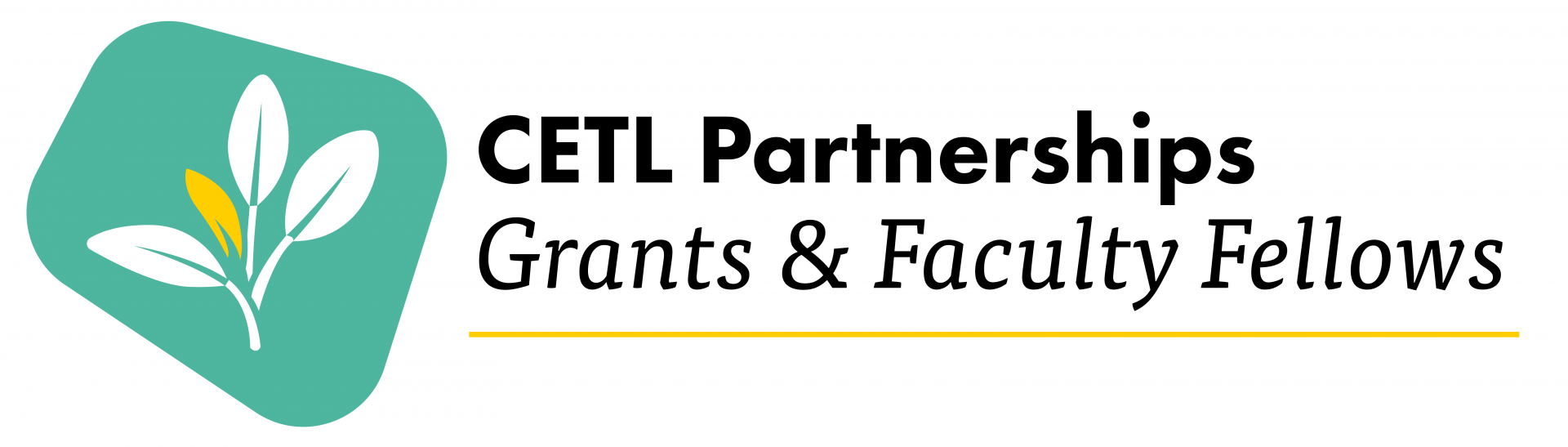 CETL Faculty Fellowships