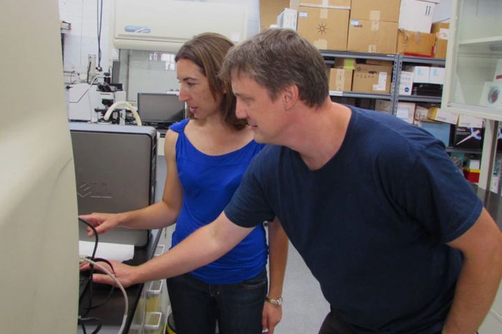 aukera researchers viewing results