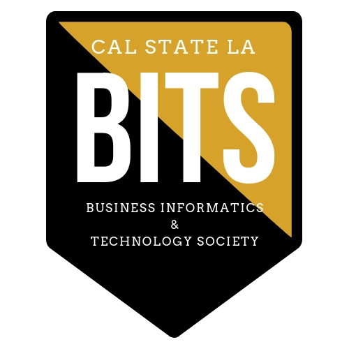 Business Informatics and Technology Society logo