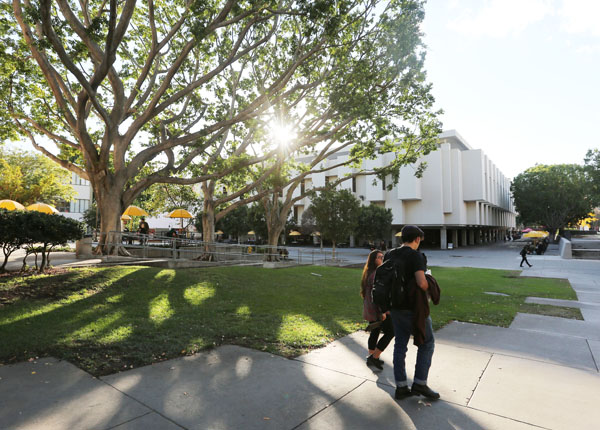 Two students walking through a courtyard on a sunny day.