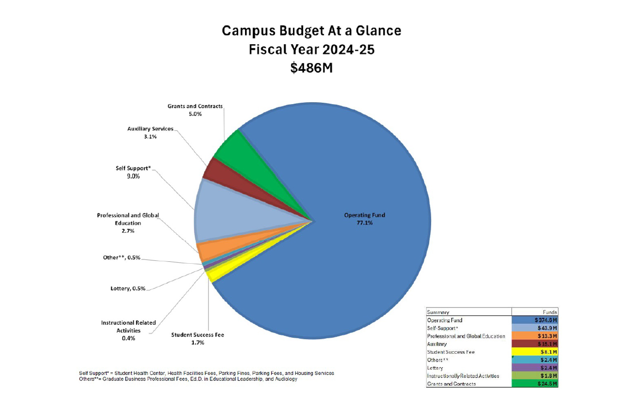 A pie chart of a budget.
