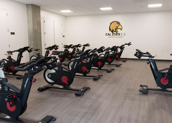 A room of exercise bikes.