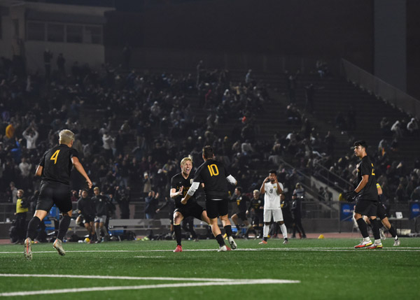 Soccer players celebrating on the soccer field.
