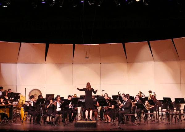 A conductor and their orchestra.
