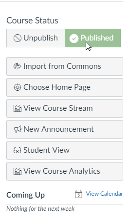 Course Status From Home Page with Publish Course button indicated