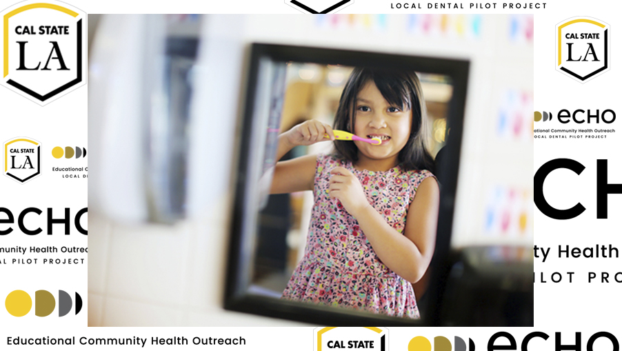 Cover page (child brushing teeth reflected on mirror) ECHO-LDPP logo backdrop