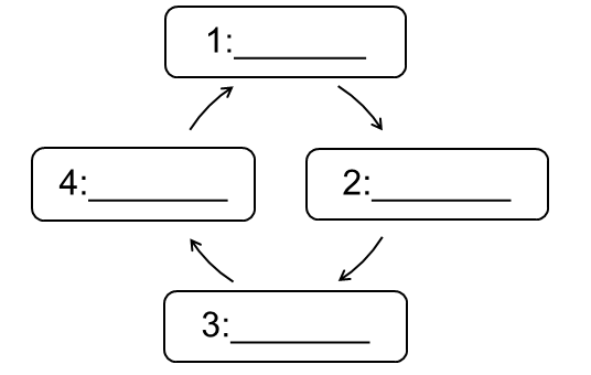 Cycle diagram with four steps connected to each other in a sequence with arrows