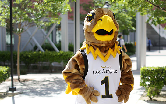 Eddie the Golden Eagle outdoors