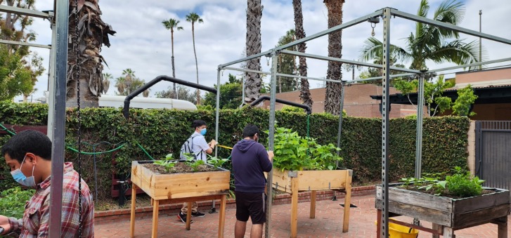 elevated planters project