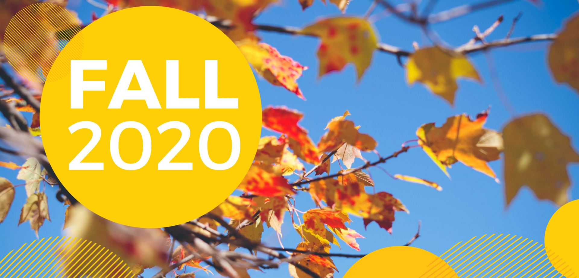 Words: Fall 2020 with a blue sky as the background and fall leaves on a branches. 