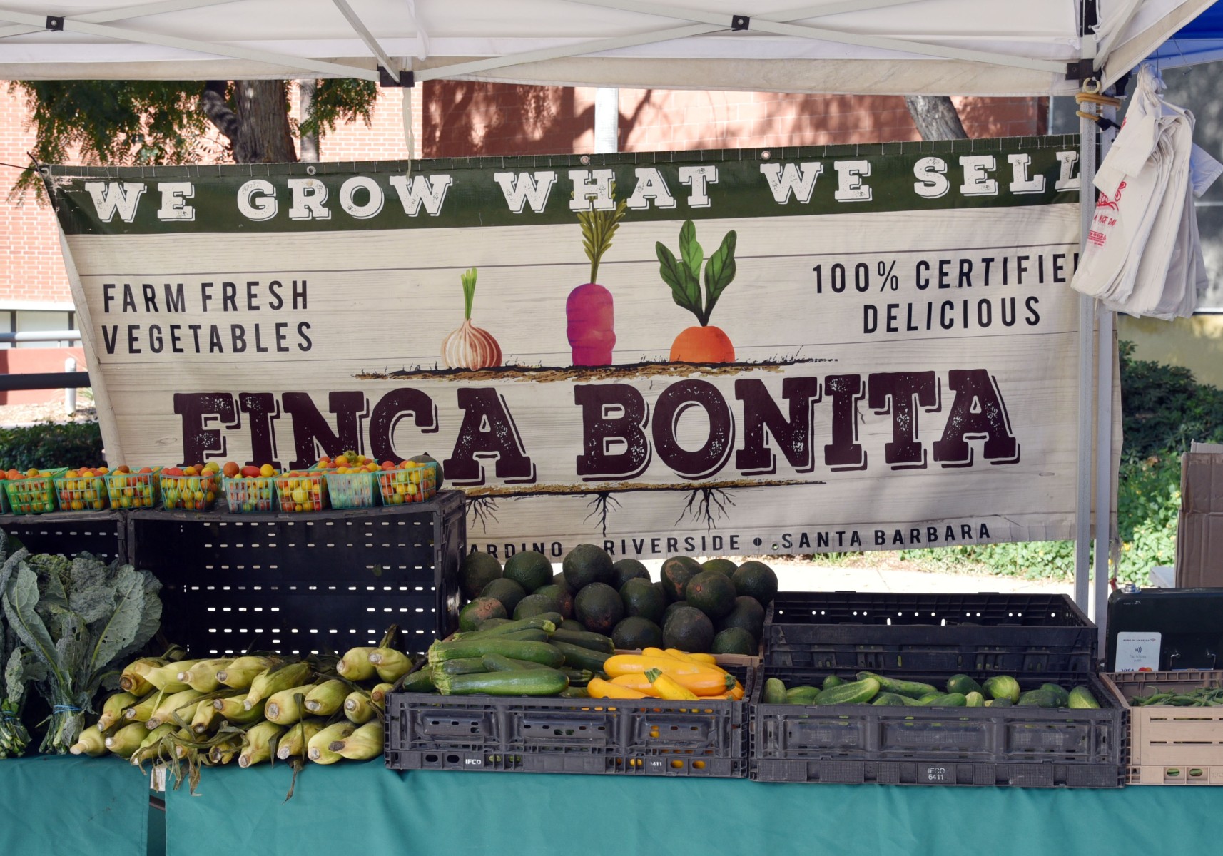 Fresh vegetables and fruit stacked neatly on crates on a table at the Farmers Market