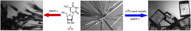 fig2_ChemComm2012