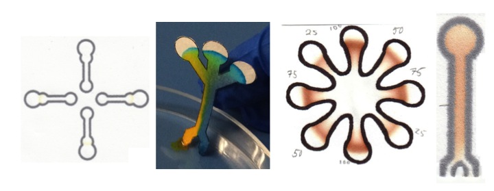 Figure 1 REVISE