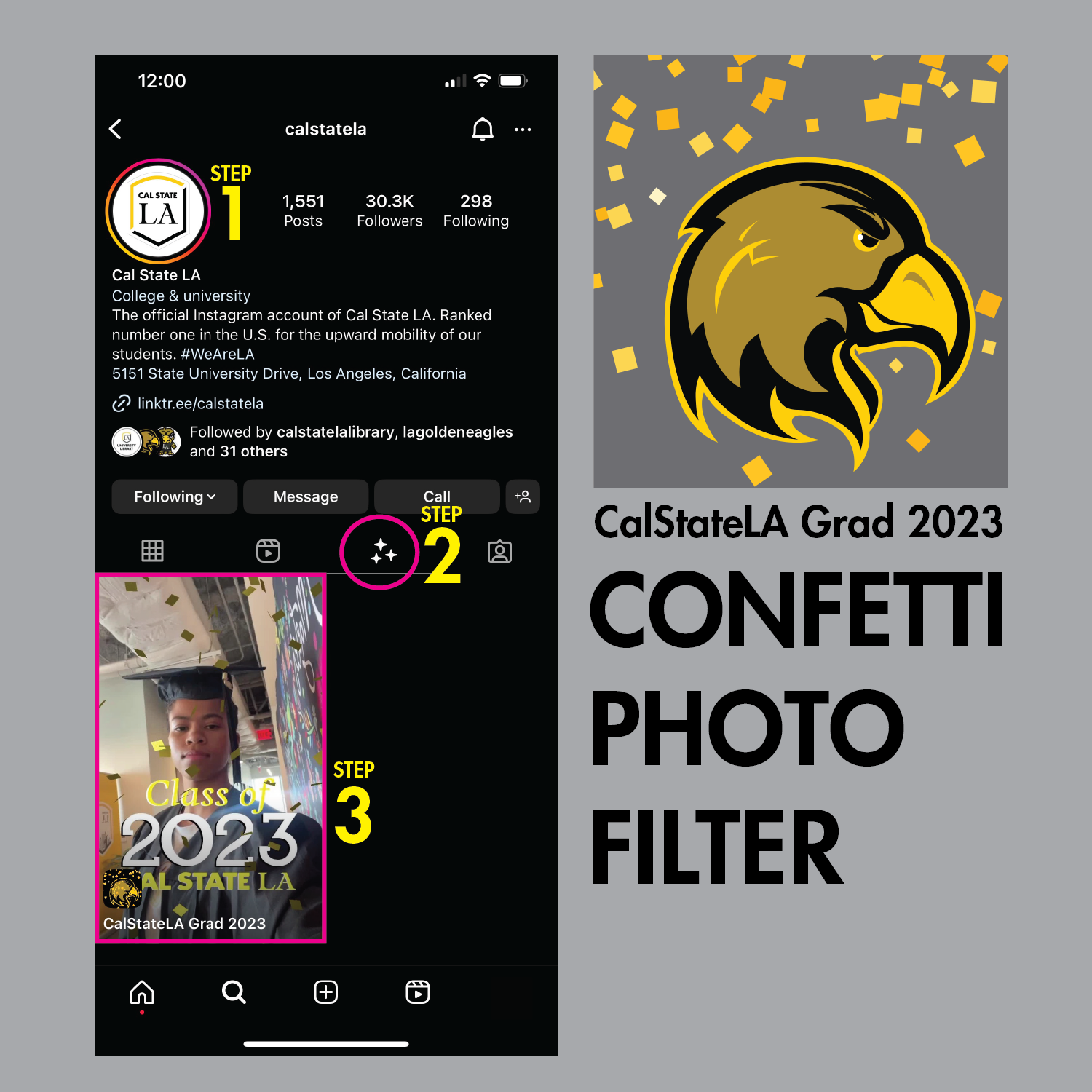 Instructions for Facebook and Instagram filter.