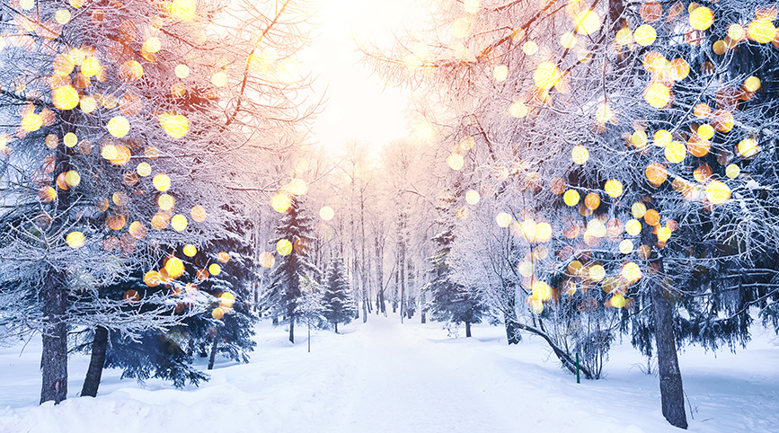 String lights on trees in a snowy landscape